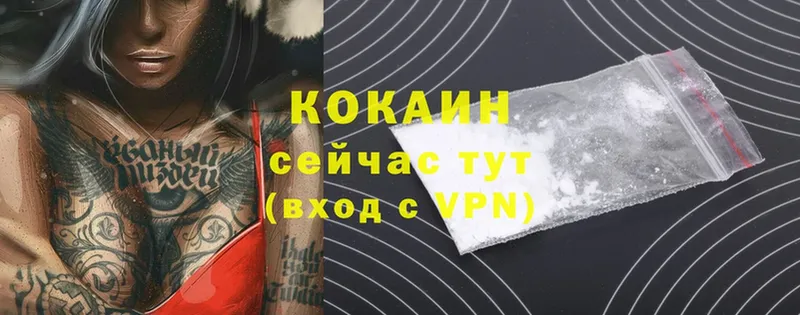 Cocaine FishScale  закладки  Когалым 